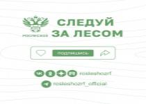 Следуй за лесом