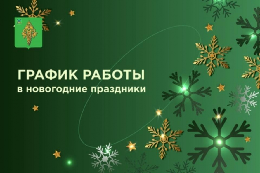 Работа медучреждений и экстренных служб в новогодние праздники