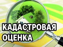 О проведении на территории Приморского края государственной кадастровой оценки 