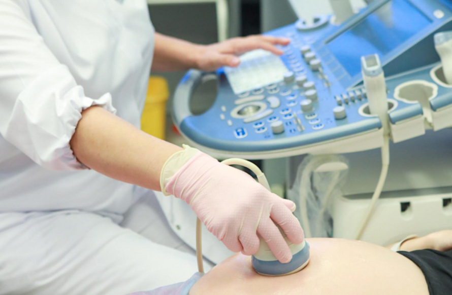 Студенческие семьи Приморья отмечают удобство получения увеличенной выплаты по беременности и родам