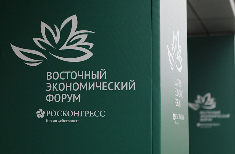 Свыше 30 соглашений заключит Правительство Приморья на ВЭФ-2023