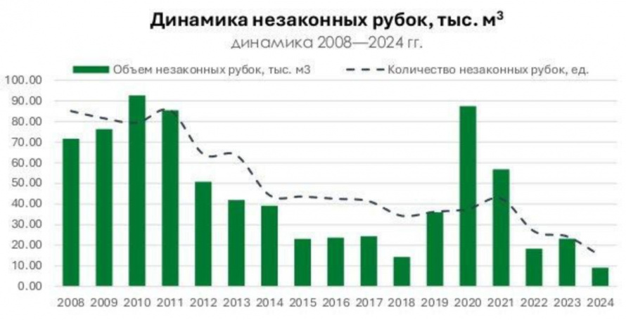 Приморье значительно снизилось количество незаконных рубок