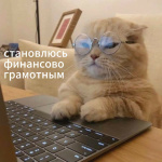 Новый сезон онлайн-уроков по финансовой грамотности стартовал 30 января! 
