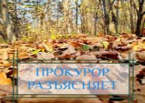 Порядок обращения с медицинскими отходами класса «А» в части передачи их региональному оператору по обращению с твердыми коммунальными отходами
