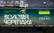 «Золотая черепаха» стартует в Приморье уже завтра