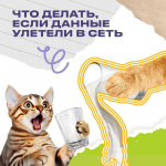 Что делать, если персональные данные утекли в сеть⁉️
