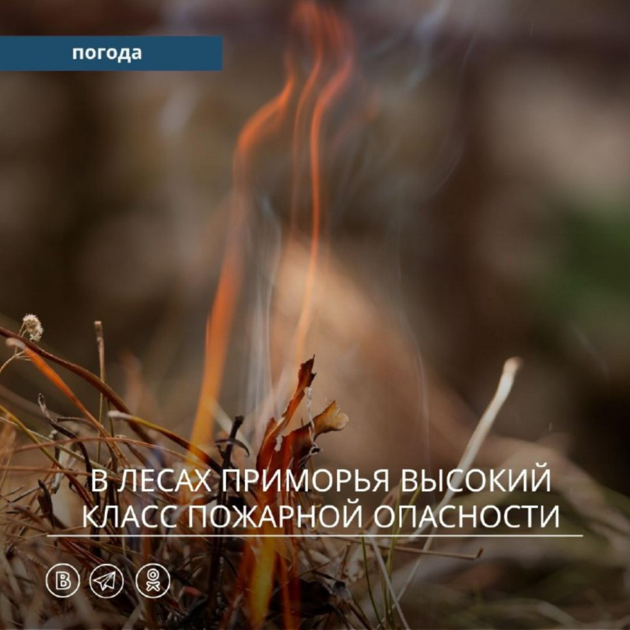 С 15 по 17 мая на юге центральных районов Приморского края сохранится 4 (высокий) класс пожарной опасности в лесах по метеоусловиям