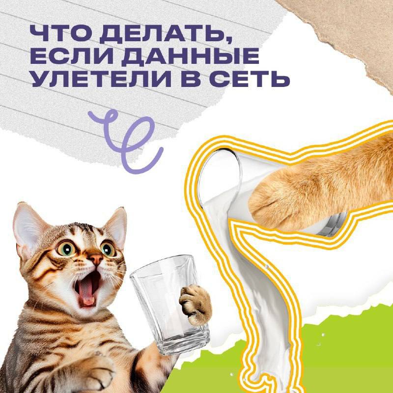 Что делать, если персональные данные утекли в сеть⁉️