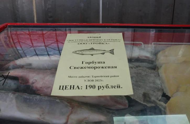 Более чем в два раза увеличили вылов лосося рыбаки Приморья