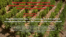 Нарушение требований лесого законодательства по воспроизводству лесов и лесоразведению
