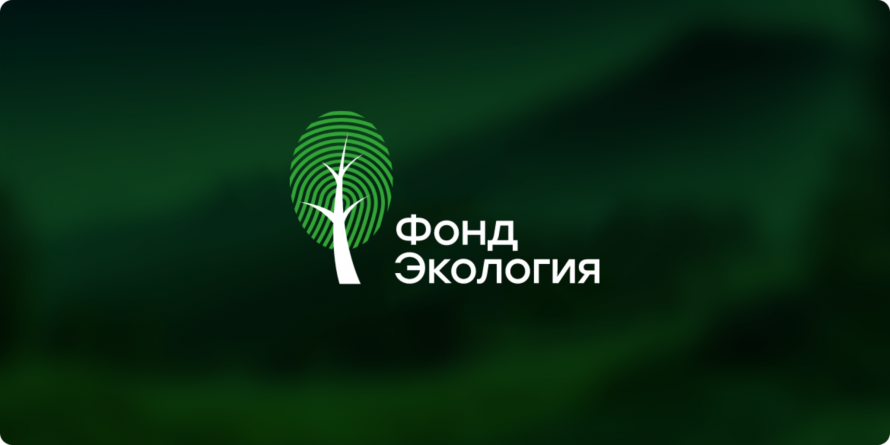Фонд экологических и природоохранных проектов создается в России