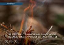 С 15 по 17 мая на юге центральных районов Приморского края сохранится 4 (высокий) класс пожарной опасности в лесах по метеоусловиям