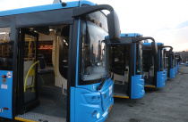Почти 40 автобусных рейсов отменили в Приморье