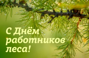 Уважаемые работники и ветераны лесопромышленного комплекса  Чугуевского района!