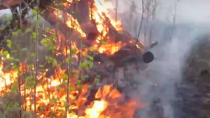 Ужесточено наказание за нарушение правил пожарной безопасности в лесах