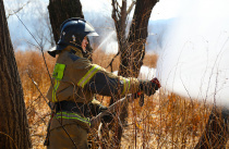Изменены сроки начала пожароопасного сезона в Приморье