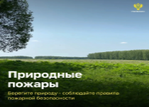 Берегите лес! Берегите лес!