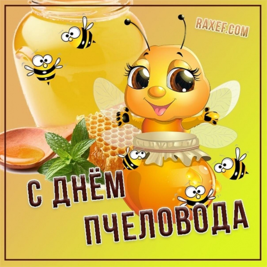 Сегодня мы отмечаем День приморского пчеловода!