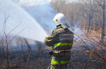 47 лесных и природных пожаров потушили в Приморье за три дня
