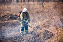 В Приморье массово привлекают к ответственности нарушителей правил пожарной безопасности в лесах