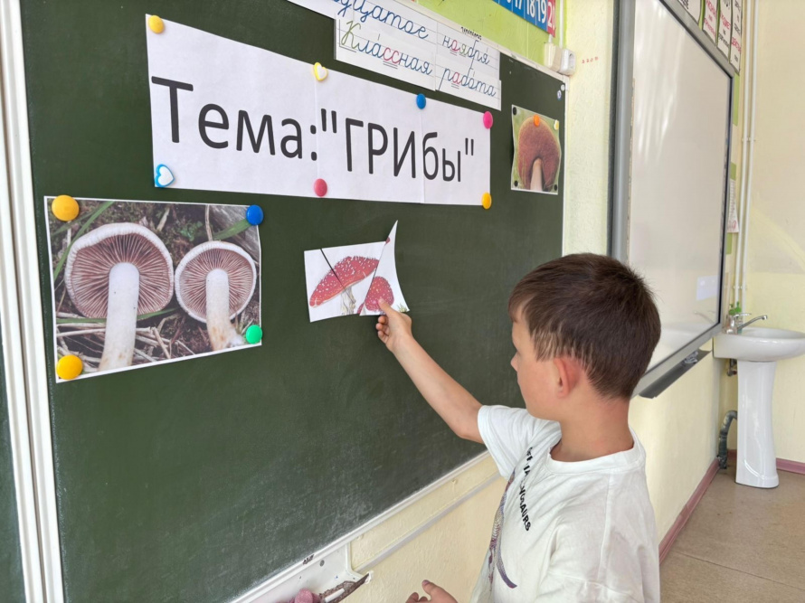 "Удивительное открытие мира грибов!"