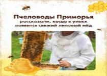 Старт медового сезона 2025!